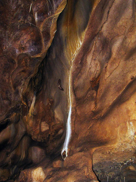 غار قلعه کرد بوئین زهرا